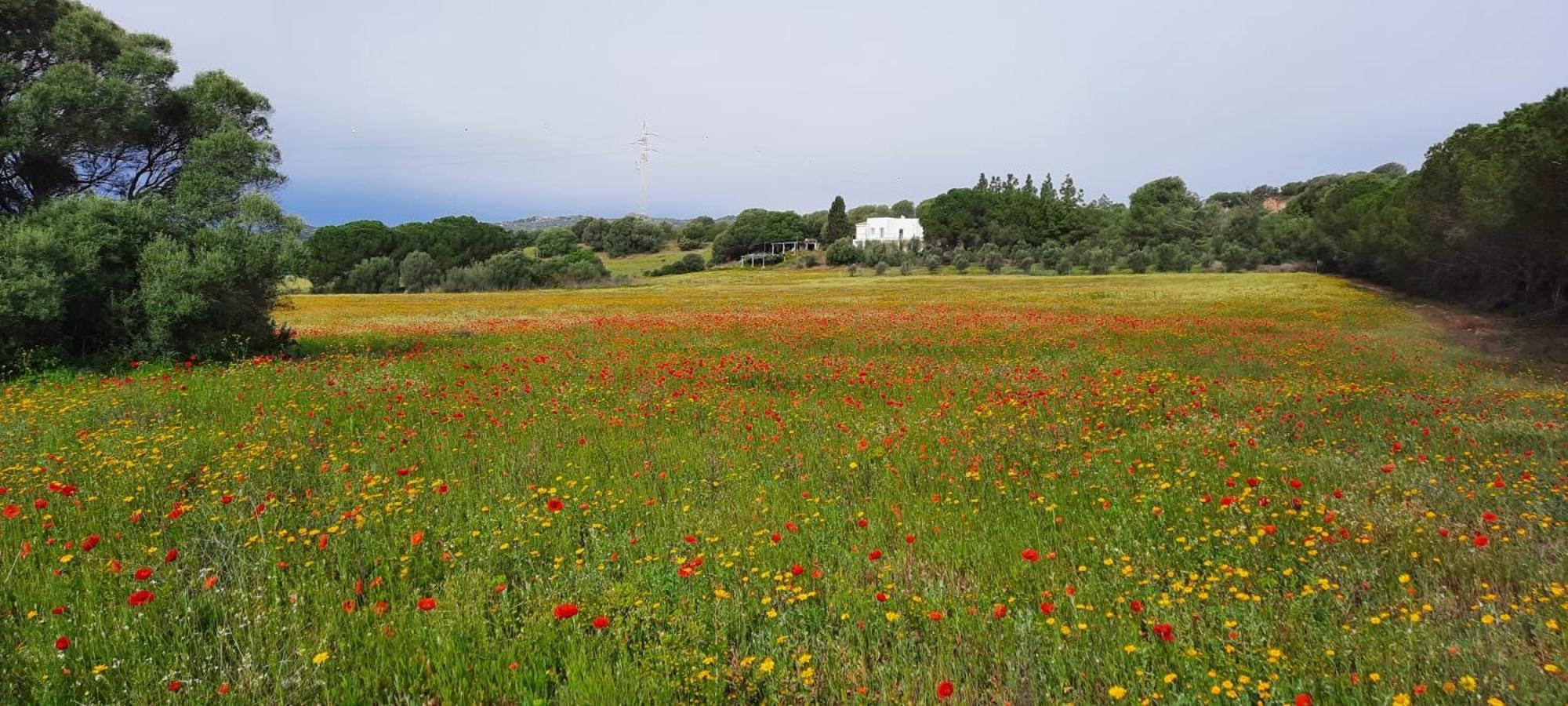 Agreen Country House Olbia Exterior photo