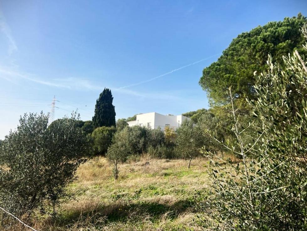 Agreen Country House Olbia Exterior photo