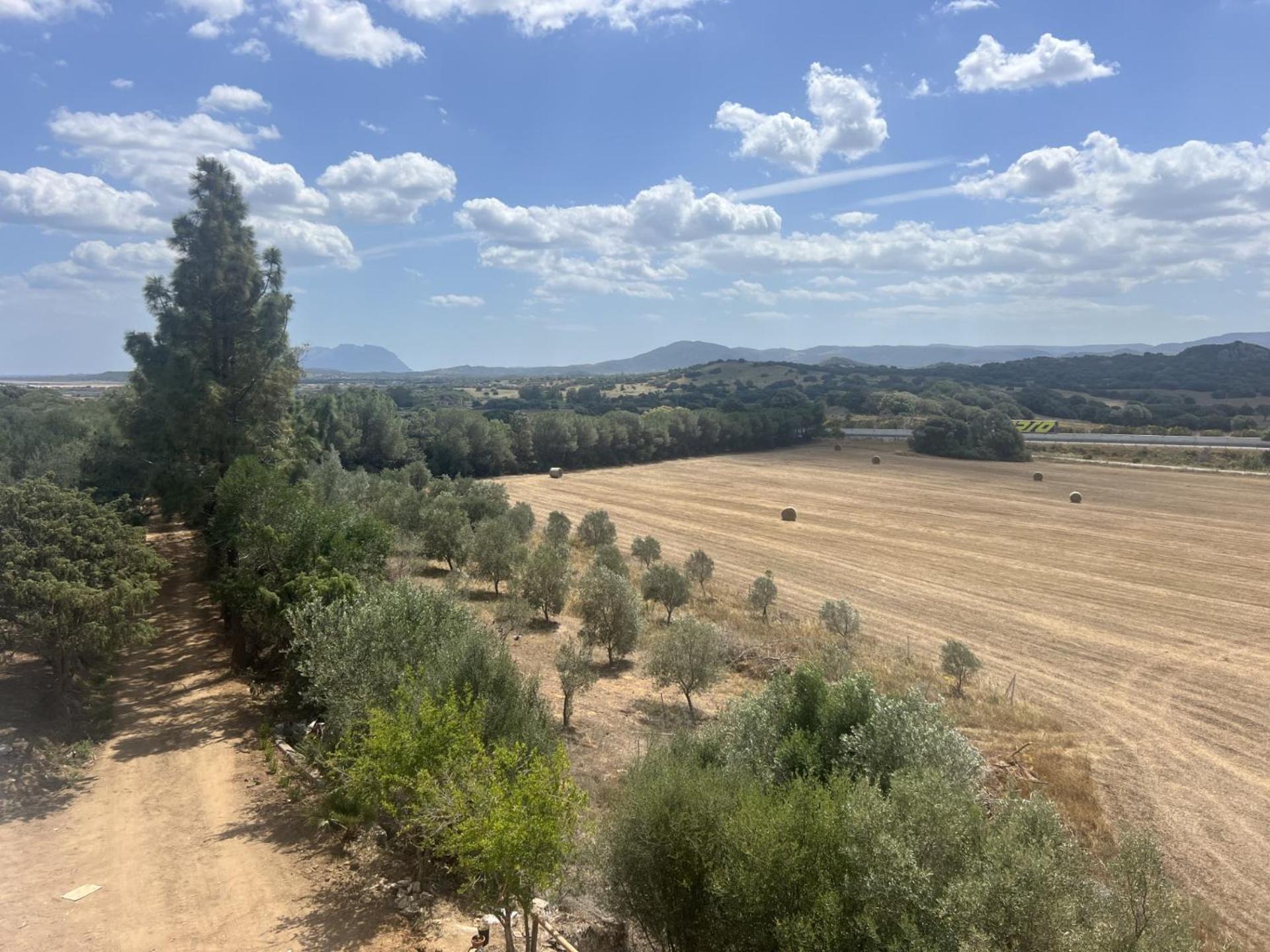 Agreen Country House Olbia Exterior photo