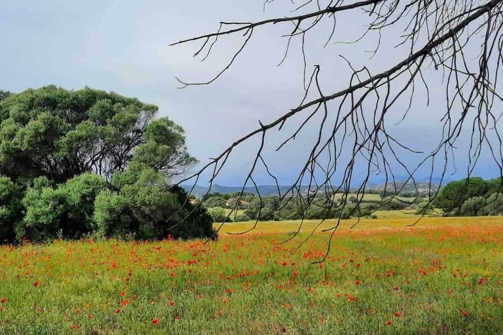 Agreen Country House Olbia Exterior photo